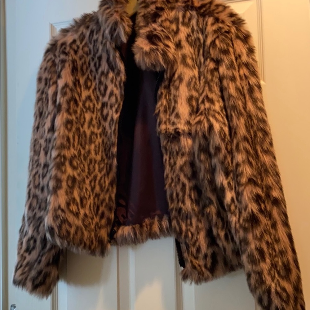 Jacket - Picture 3 of 3